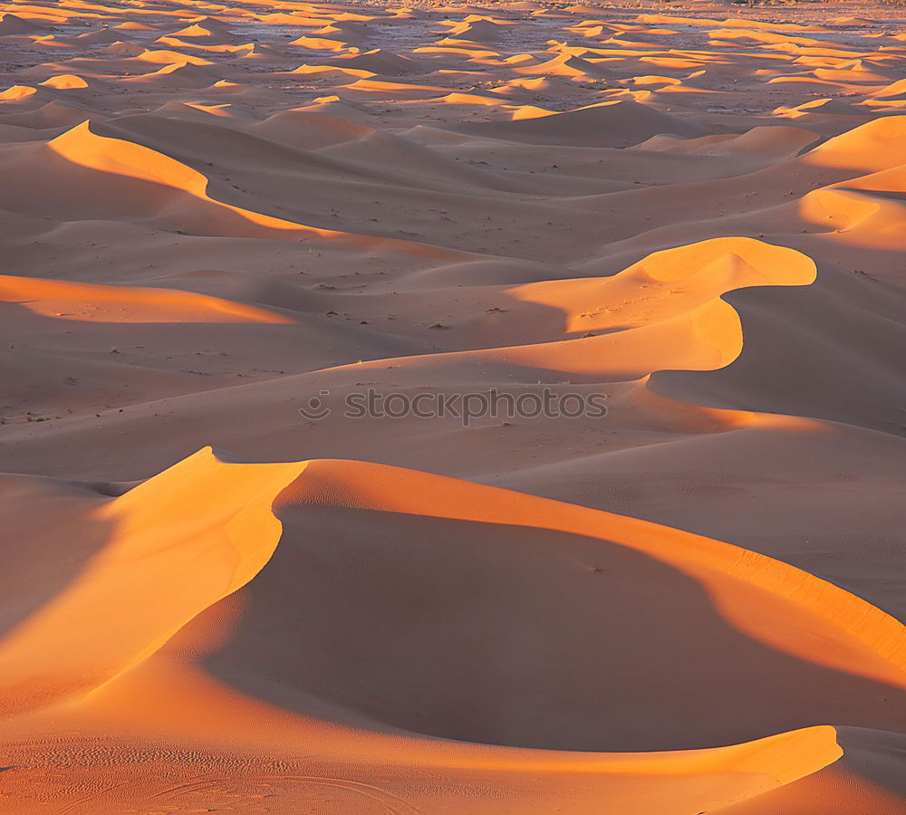 Similar – Image, Stock Photo Sandstorm in Sossusvlei #1