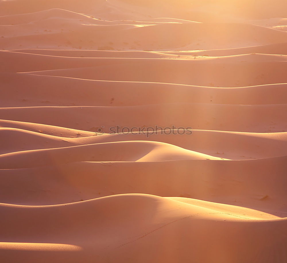 Similar – Dunes of Mui Ne