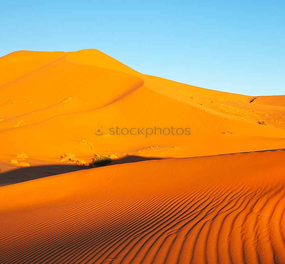 Similar – Dunes on desert sand Sand