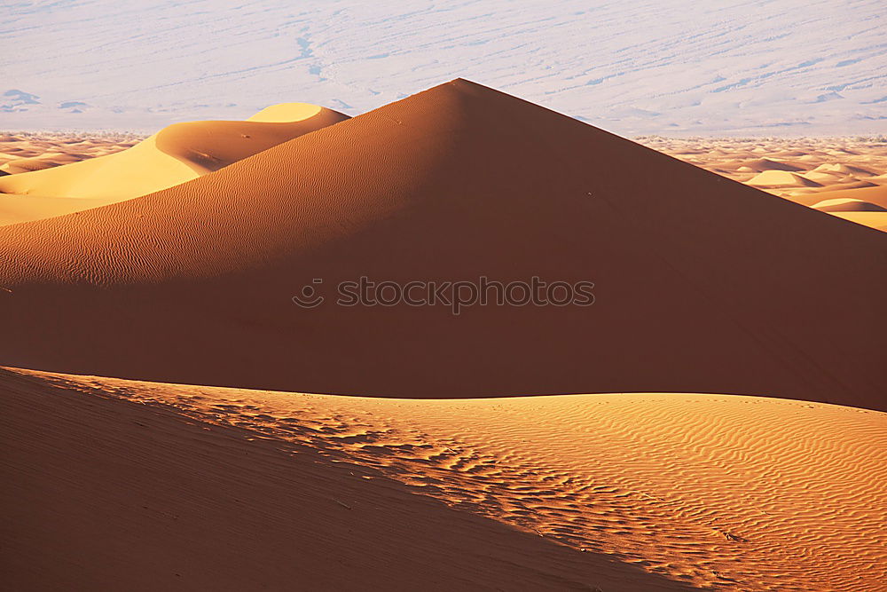 Similar – Image, Stock Photo in the morning in the Sahara