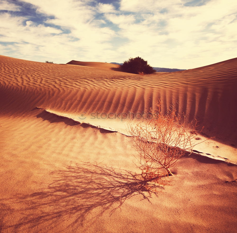 Similar – Deadvlei (Namibia)