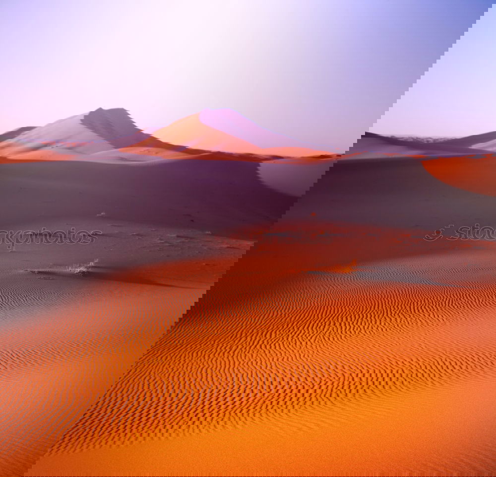 Similar – Image, Stock Photo in oman old desert rub al khali the empty q