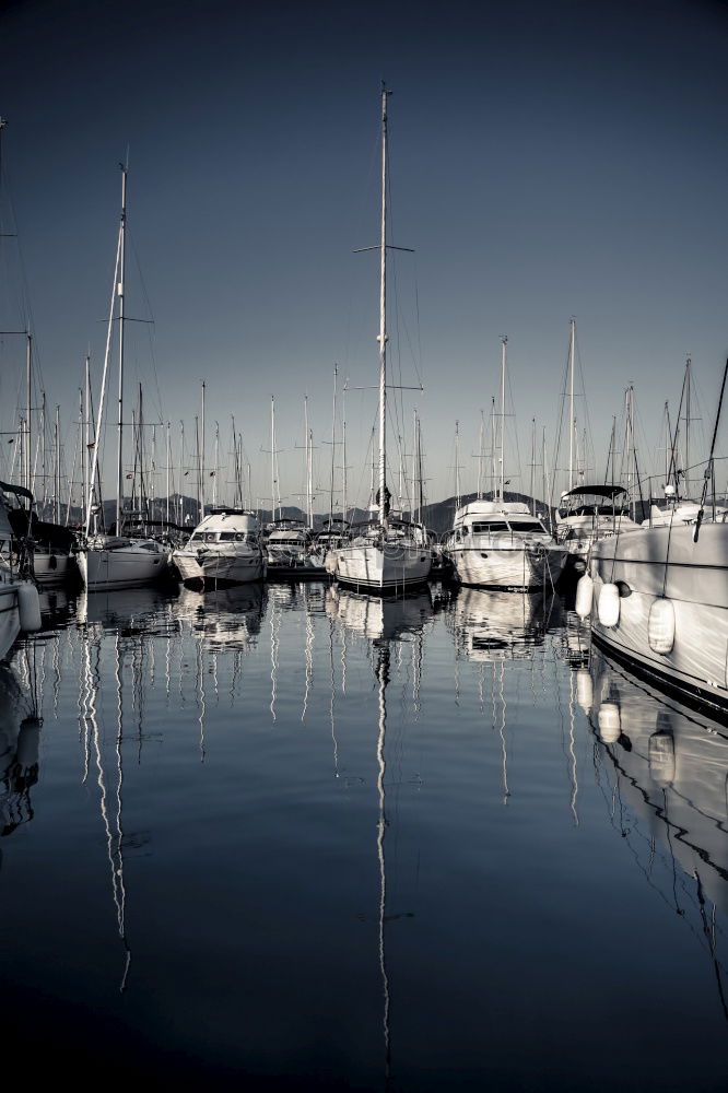 Similar – Image, Stock Photo black Elbe Night