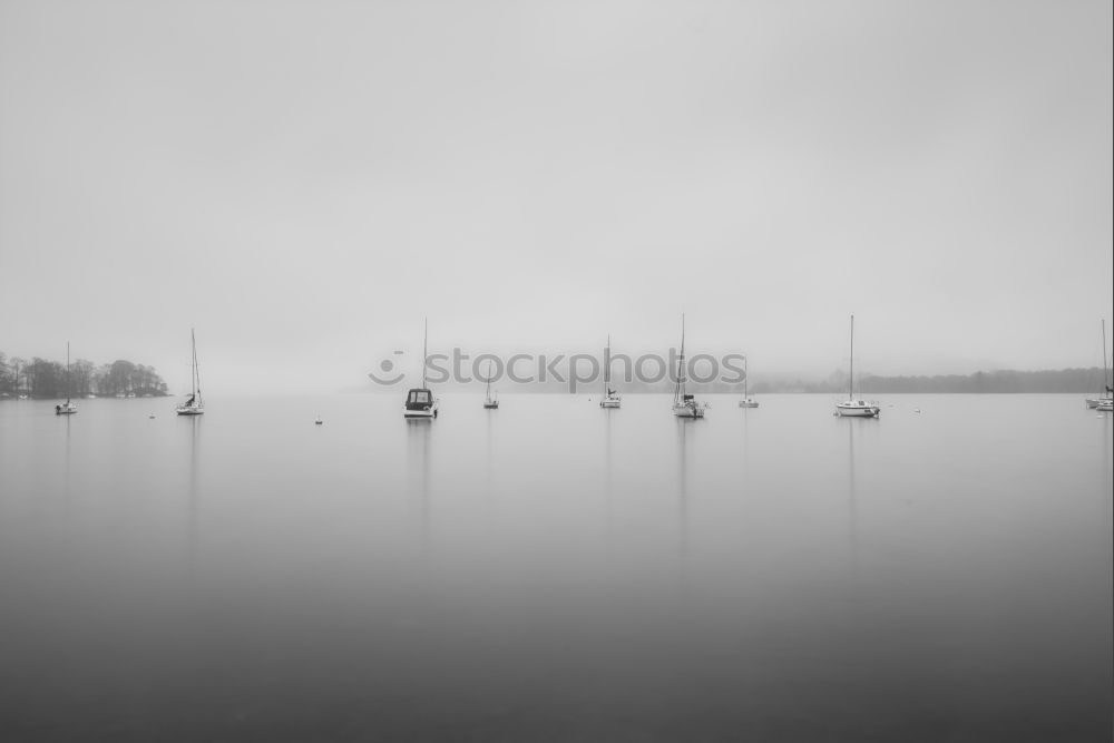 Similar – Image, Stock Photo Skirmish Lake Swift II