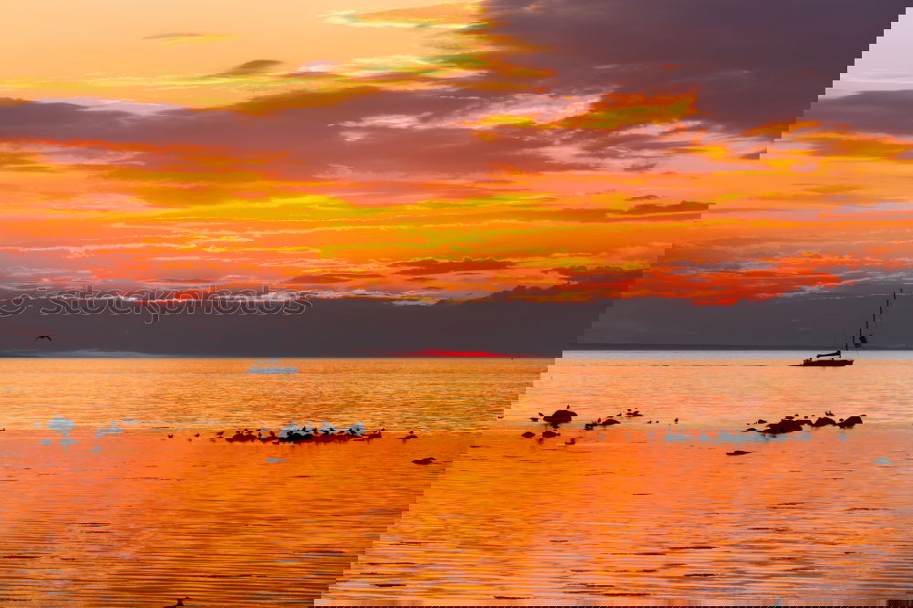 Similar – Image, Stock Photo Sailing into Sunrise