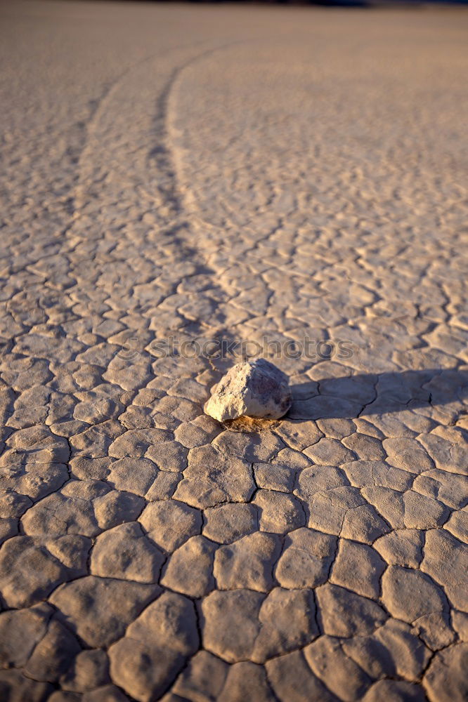 Similar – Foto Bild Sommer, Sonne, Strand, Flip und Flop