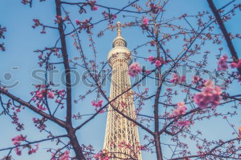 Similar – Image, Stock Photo la tour eiffel Paris