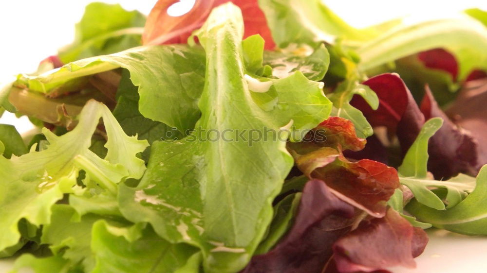 Similar – Rainbow Vitamins Lettuce