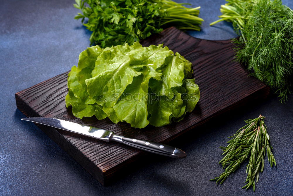 Similar – Image, Stock Photo kale washing winter superfood