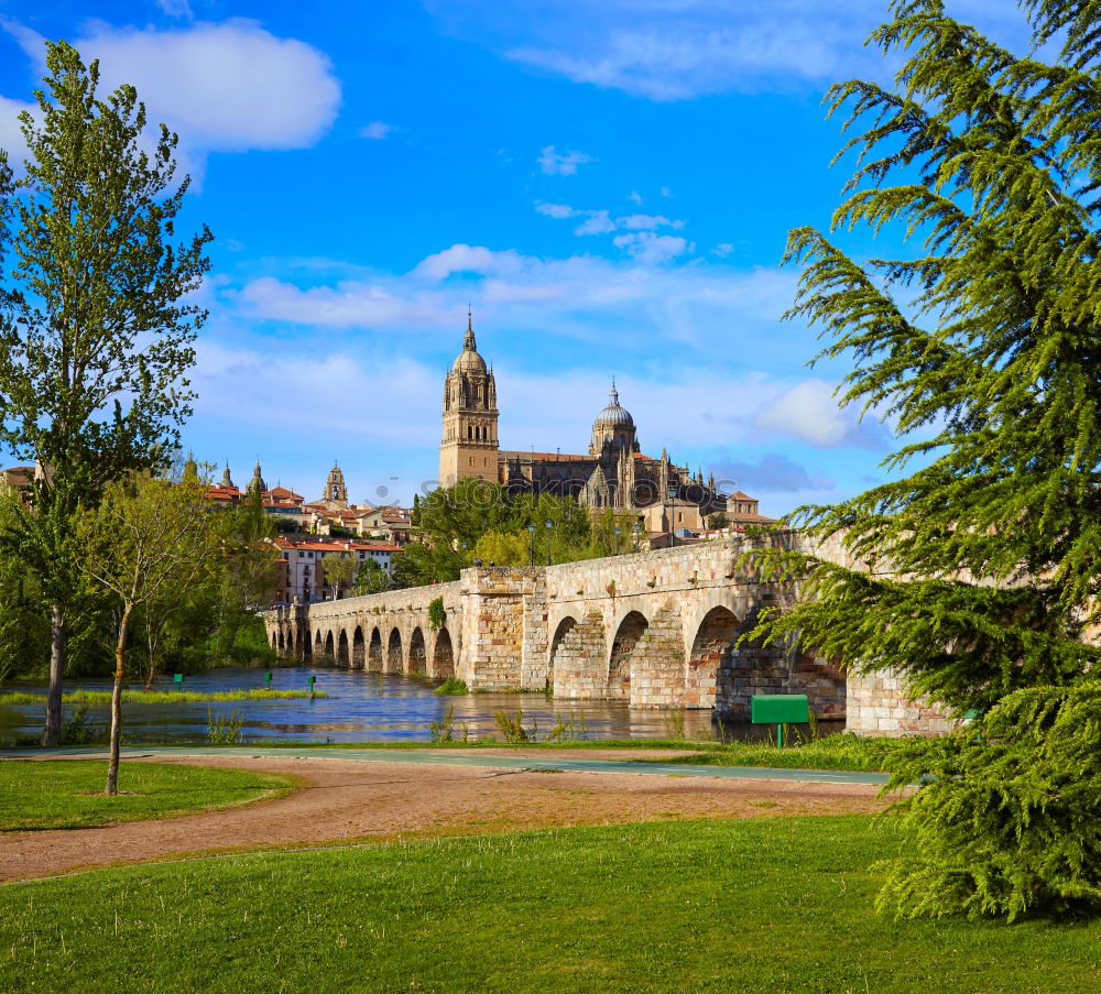 Similar – View of the Zwinger in Dresden