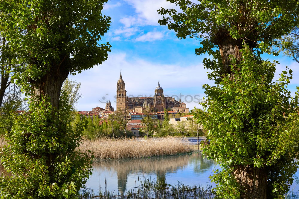 Similar – Image, Stock Photo Dresden Elbwiese Tourism