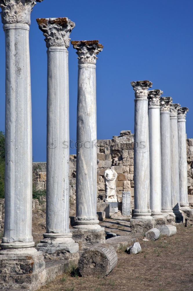 Similar – Image, Stock Photo Foro Romano (Rome, Italy)