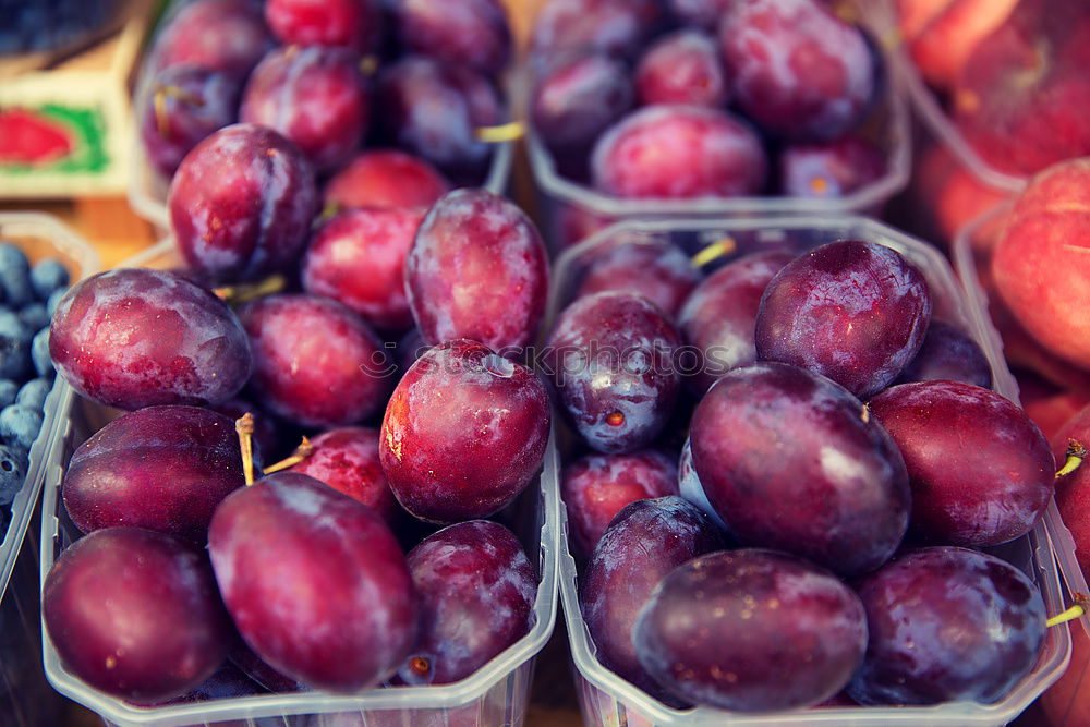 Similar – Image, Stock Photo plum harvest Sink Plum