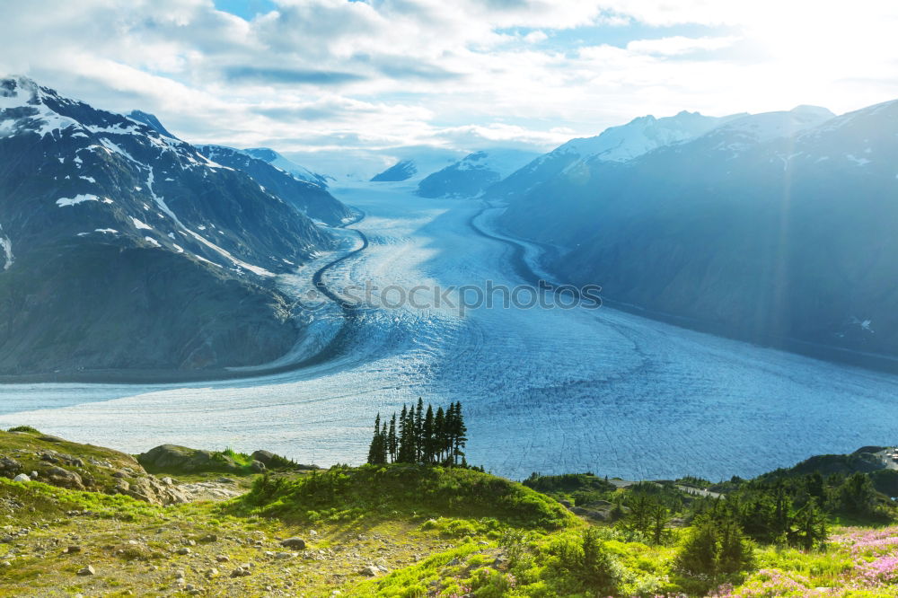 Similar – Image, Stock Photo Wild Land Well-being