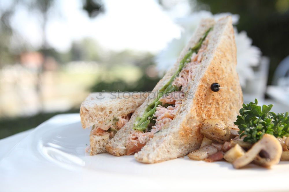 Similar – Image, Stock Photo Fresh healthy sandwich with bread, ham and vegetables.