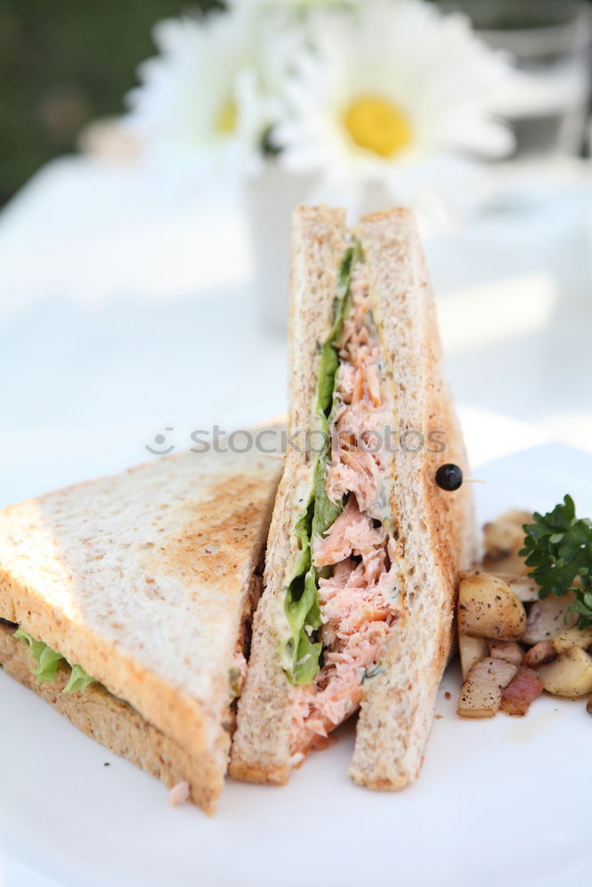 Similar – Image, Stock Photo Fresh healthy sandwich with bread, ham and vegetables.