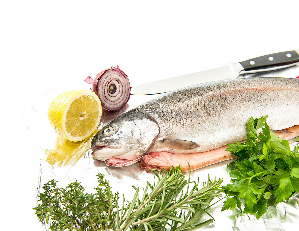 Similar – Image, Stock Photo Raw salmon fish in ice and vegetables