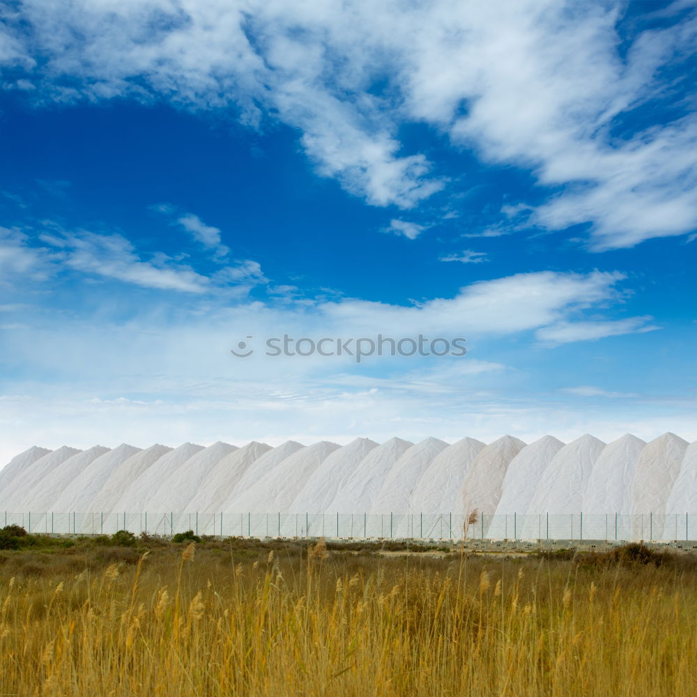 Similar – Image, Stock Photo vault Sky Clouds Grass