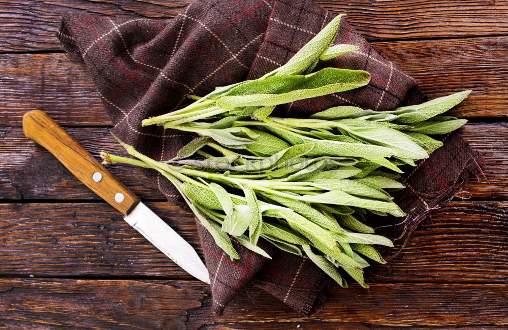 Similar – Image, Stock Photo Satureya Food Vegetable