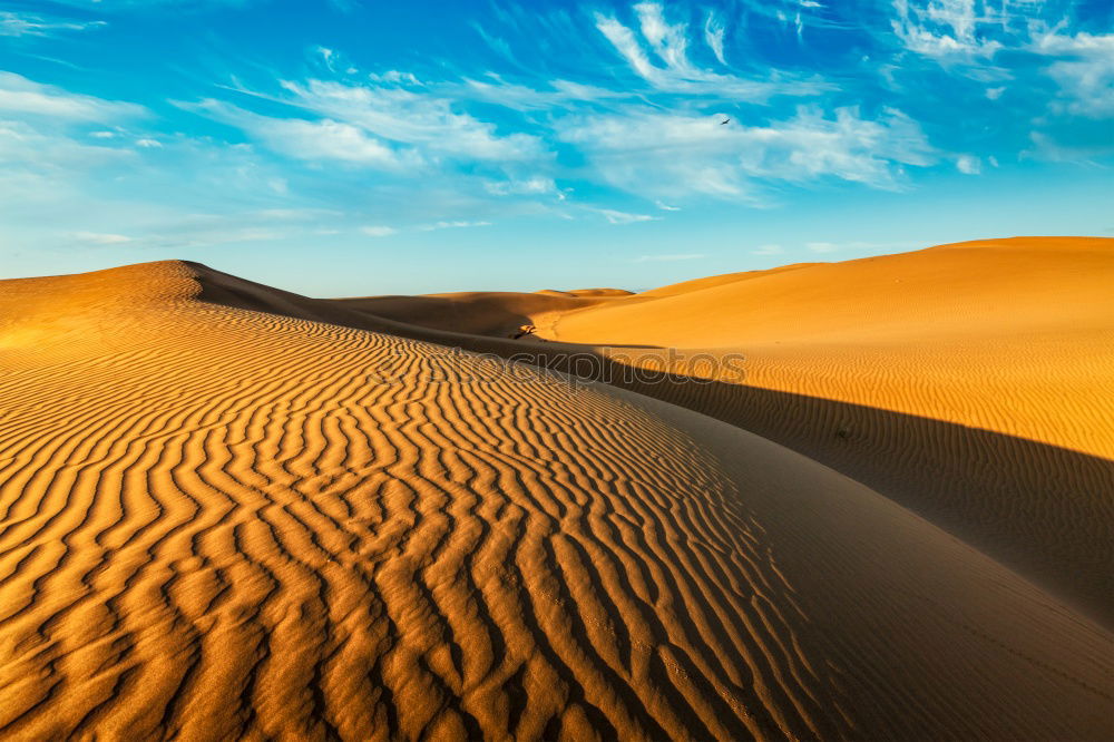 Similar – Image, Stock Photo in oman old desert rub al khali the empty