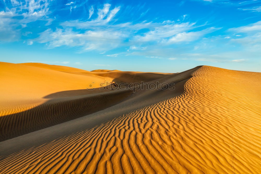 Similar – Image, Stock Photo in oman old desert rub al khali the empty