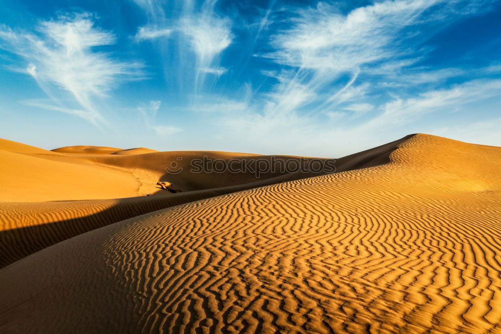 Similar – Image, Stock Photo in oman old desert rub al khali the empty