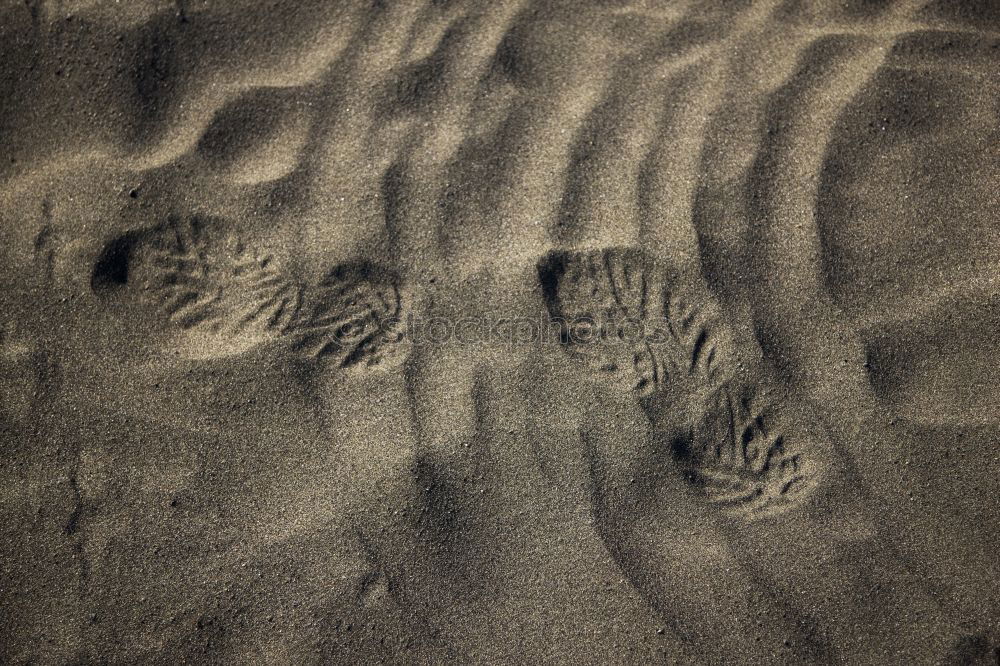 Similar – Image, Stock Photo Footprint in the sand Traces in the sand