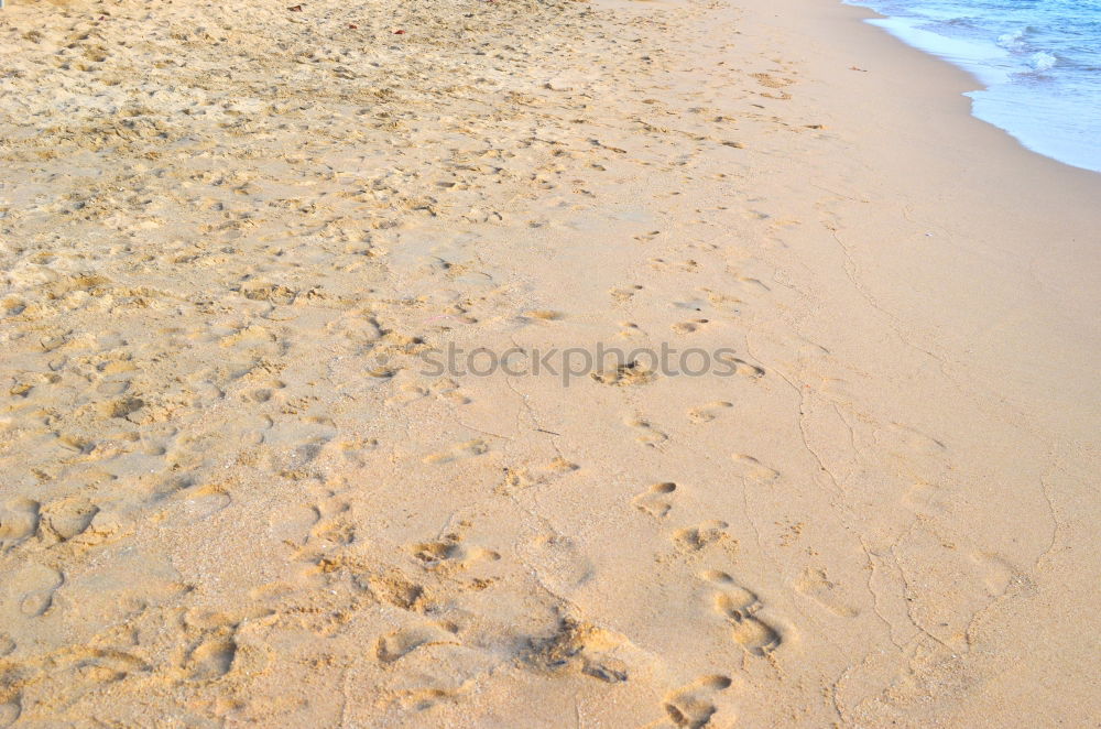 Similar – Image, Stock Photo North Sea III Wind