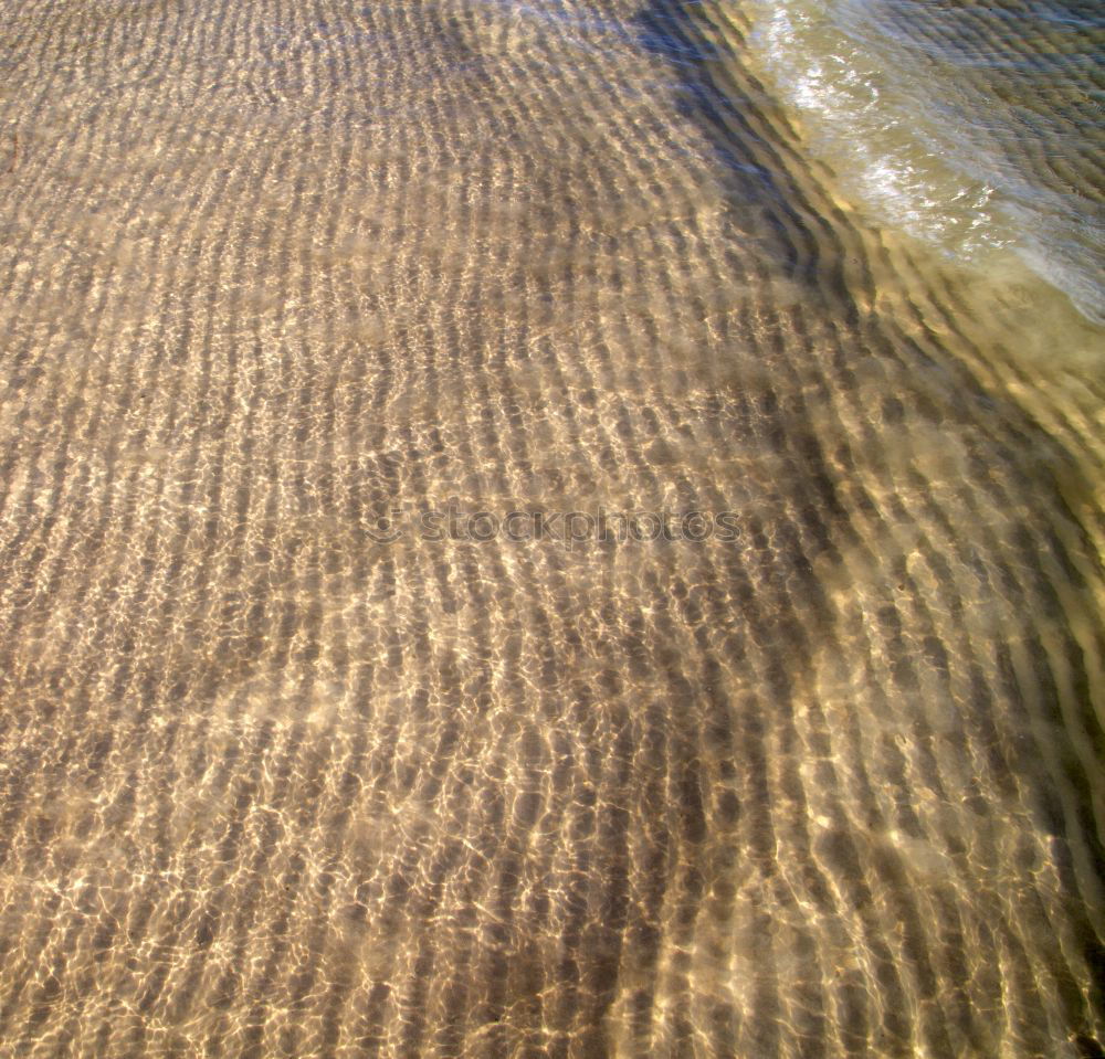 Similar – Image, Stock Photo interference field Creeper