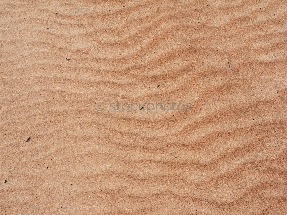 Similar – Image, Stock Photo Beautiful aerial view of a beach with waves