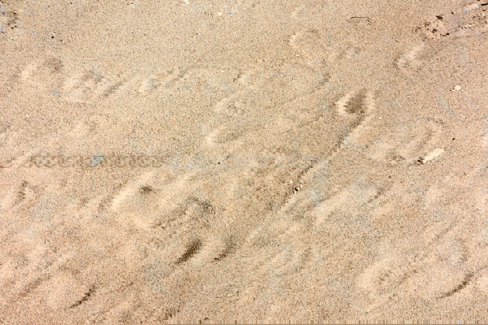 Similar – Image, Stock Photo traces in the sand…