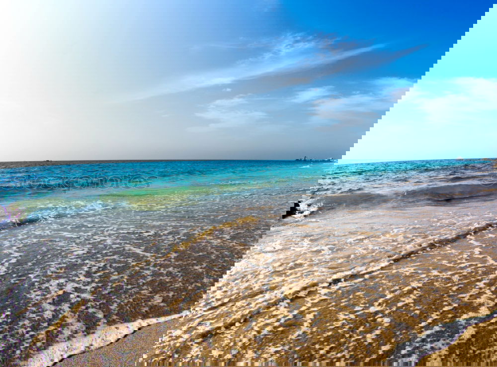 Similar – Image, Stock Photo loving couple walking on the sandy beach in a sunny day
