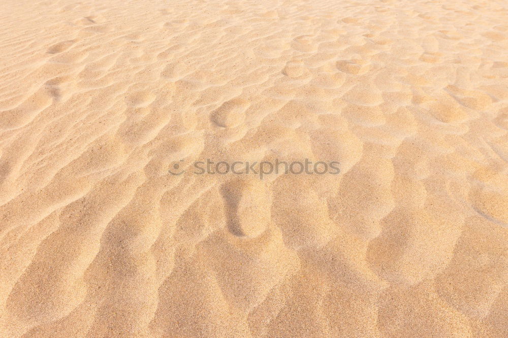 Similar – Straw hat on sand Sand Hat