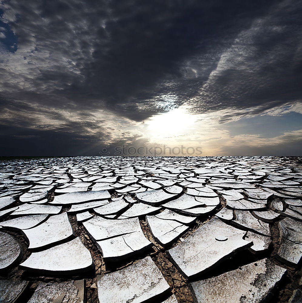 Similar – Foto Bild Spiegelstrand Strand