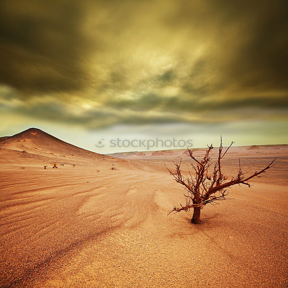 Similar – Deadvlei (Namibia)