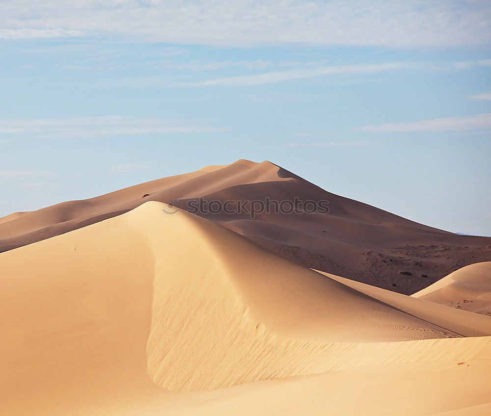 Similar – sand dune in oman old desert rub al khali