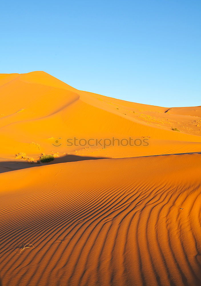 Similar – Dunes on desert sand Sand