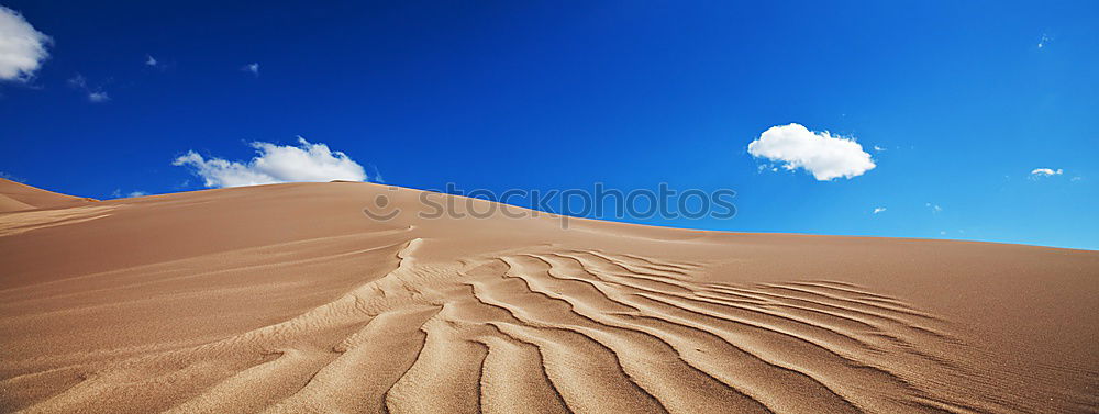 Similar – dead vlei.