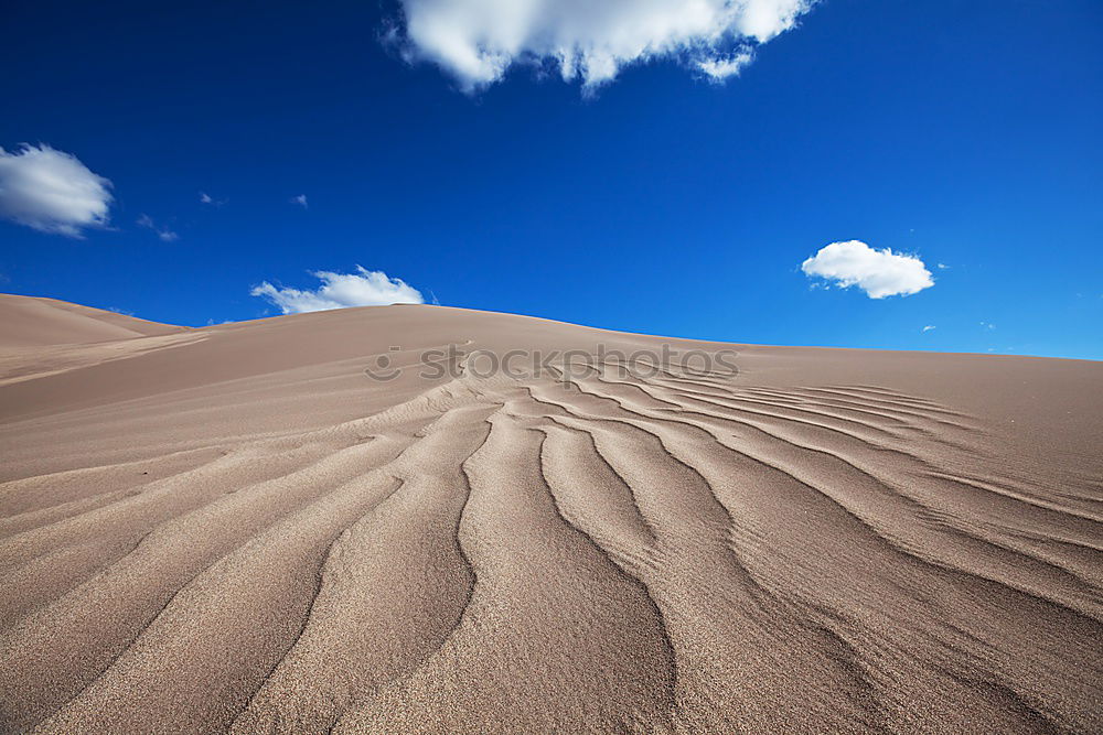 Similar – Image, Stock Photo a girl is running up the Hill