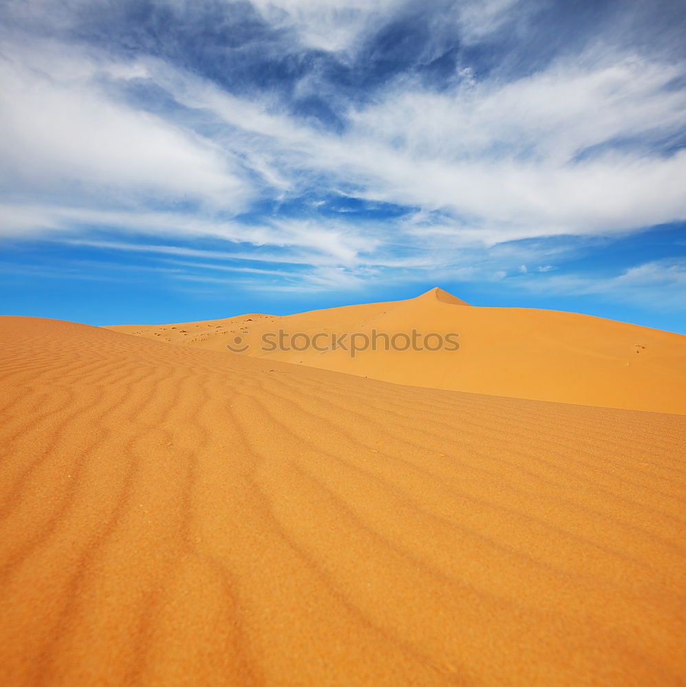 Similar – Image, Stock Photo sand dune in oman old desert rub al khali