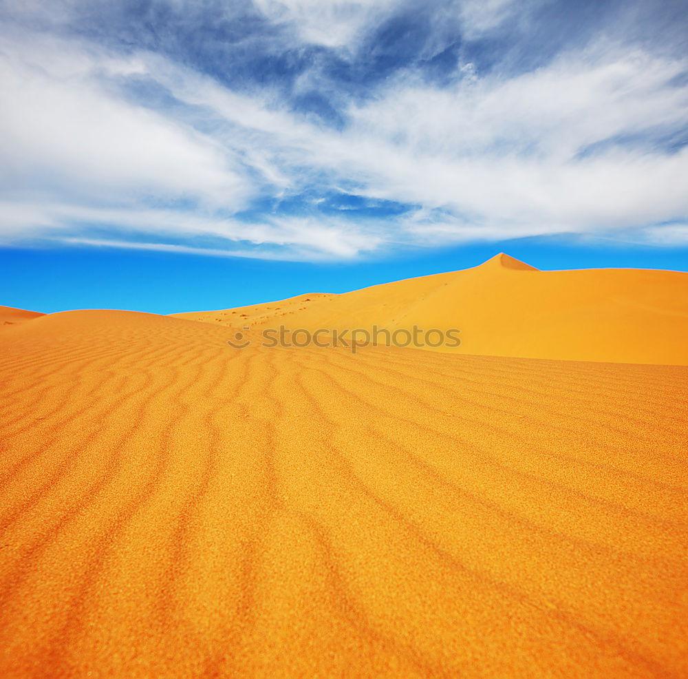 Image, Stock Photo sand dune in oman old desert rub al khali