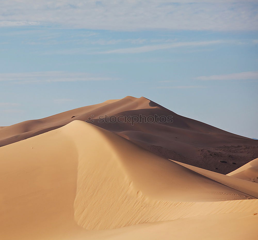 Similar – sand dune in oman old desert rub al khali