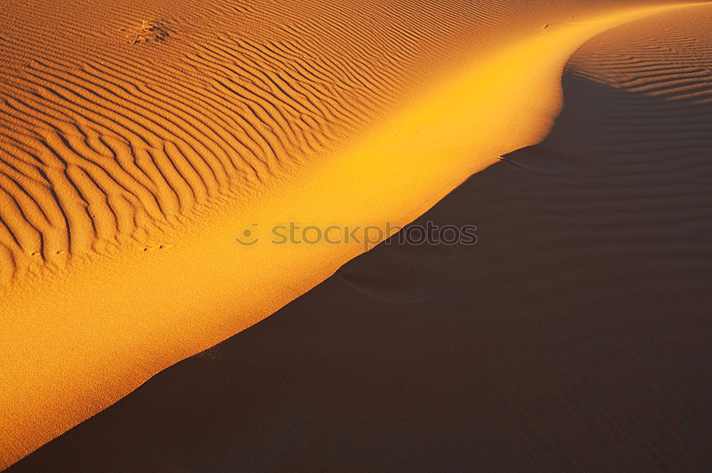 Similar – Image, Stock Photo Sandstorm in Sossusvlei #1