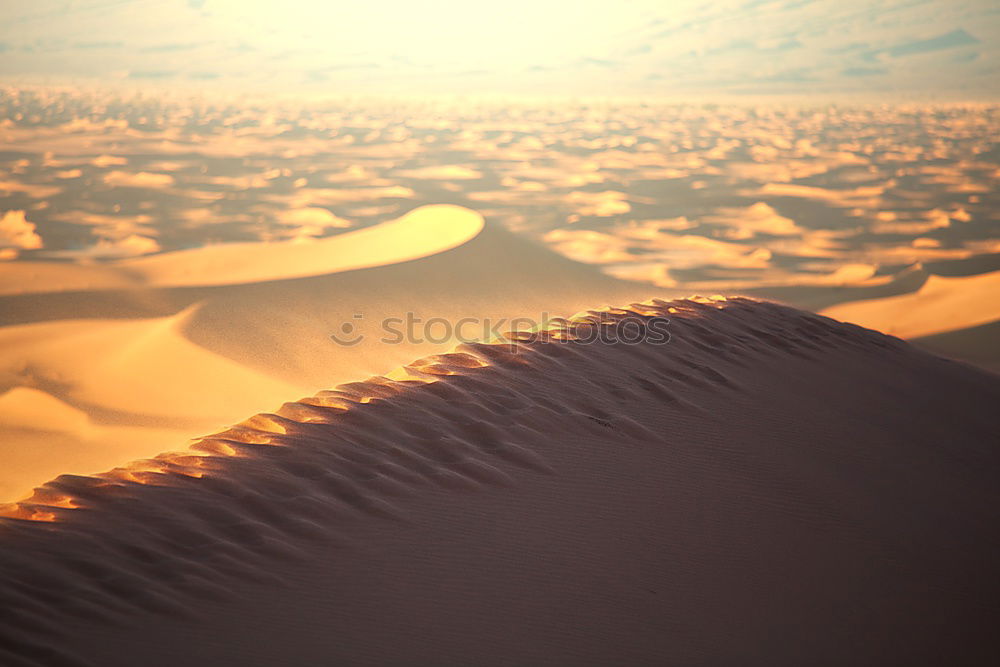 Similar – Desert (8/10) Sand Dune