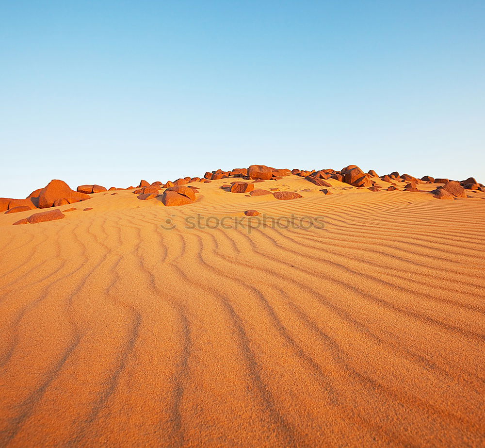 Similar – Dunes on desert sand Sand