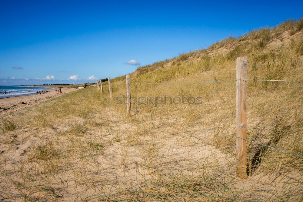 Similar – Image, Stock Photo Beach chair whispering