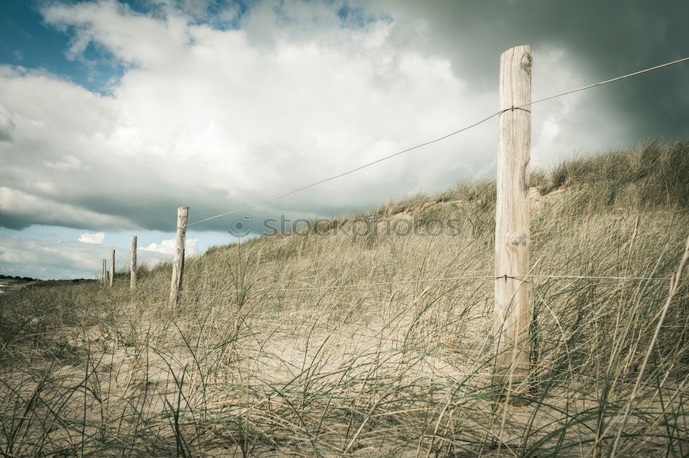 Similar – Image, Stock Photo old fence Horizon Shabby