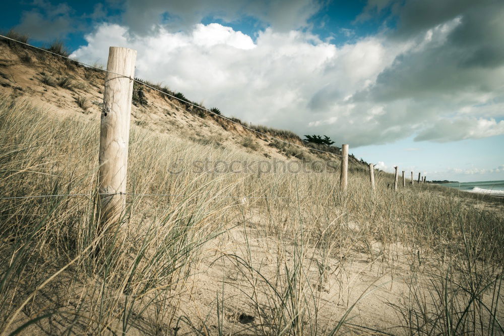 Similar – Image, Stock Photo Kattegat Landscape Sand