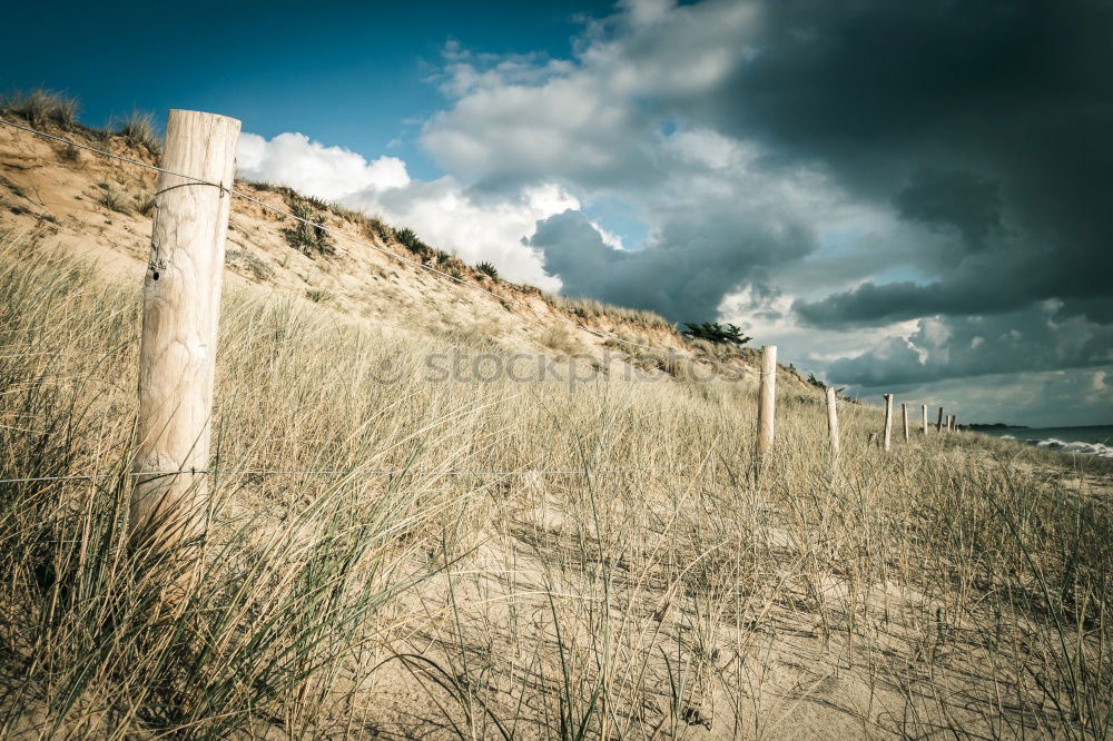 Similar – Image, Stock Photo Kattegat Landscape Sand