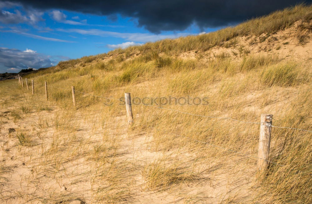 Similar – Image, Stock Photo Lighthouse Julianadorp